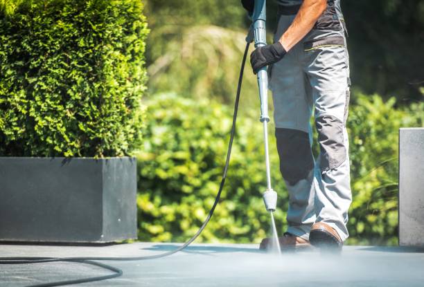 Best Patio and Deck Pressure Washing  in White Pine, TN
