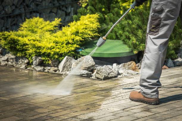 Reliable White Pine, TN  Pressure Washing Services Solutions