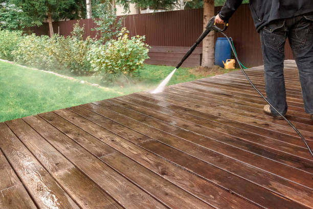 Best House Exterior Washing  in White Pine, TN
