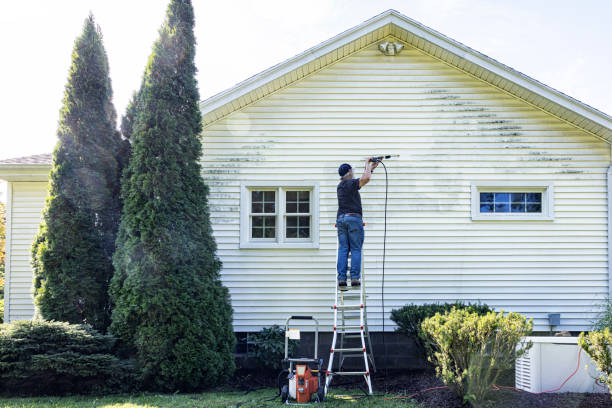 Best Dumpster Area Cleaning  in White Pine, TN