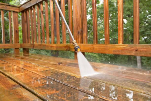 Best Fence Cleaning  in White Pine, TN
