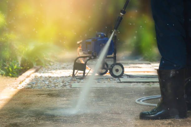 Best Roof Washing  in White Pine, TN